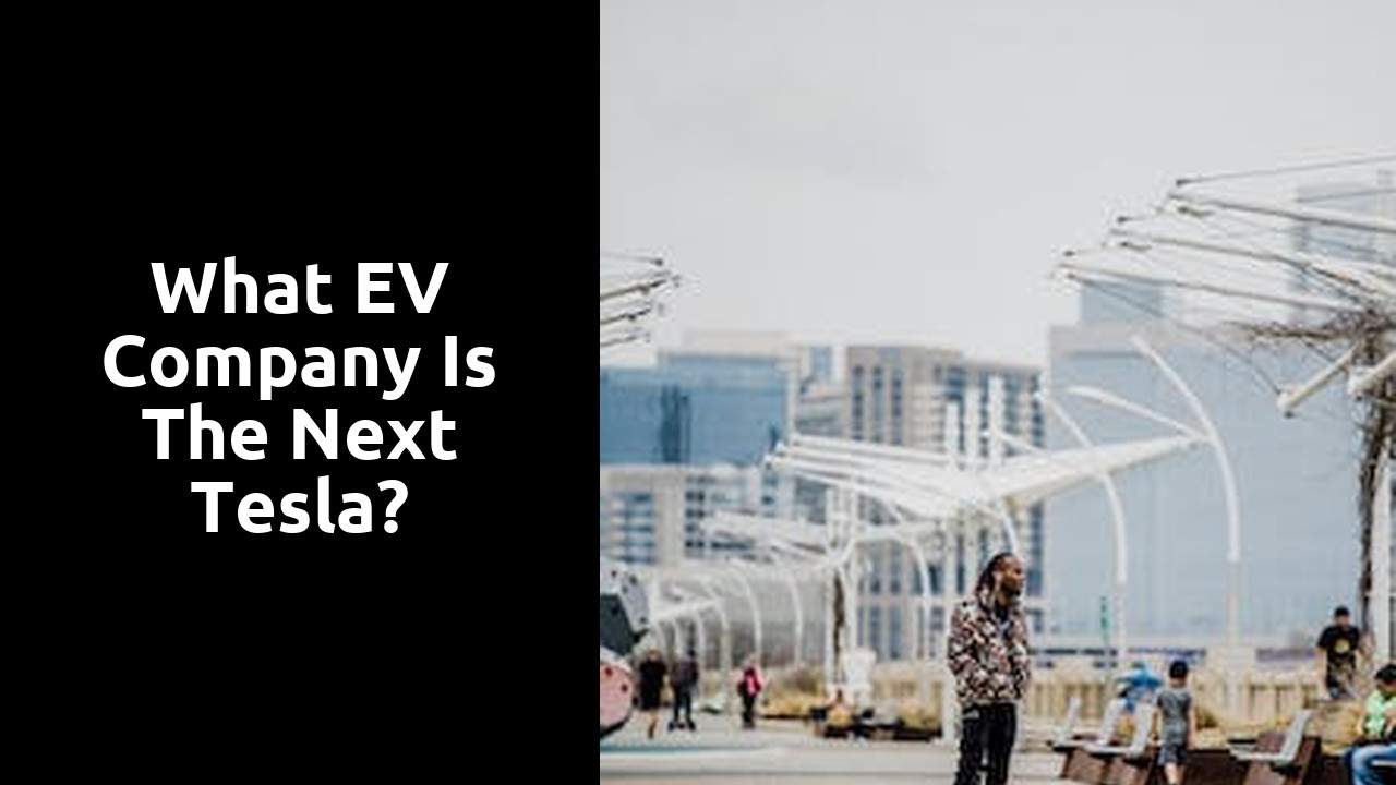 What EV company is the next Tesla?