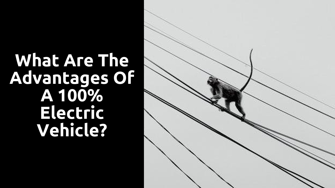 What are the advantages of a 100% electric vehicle?