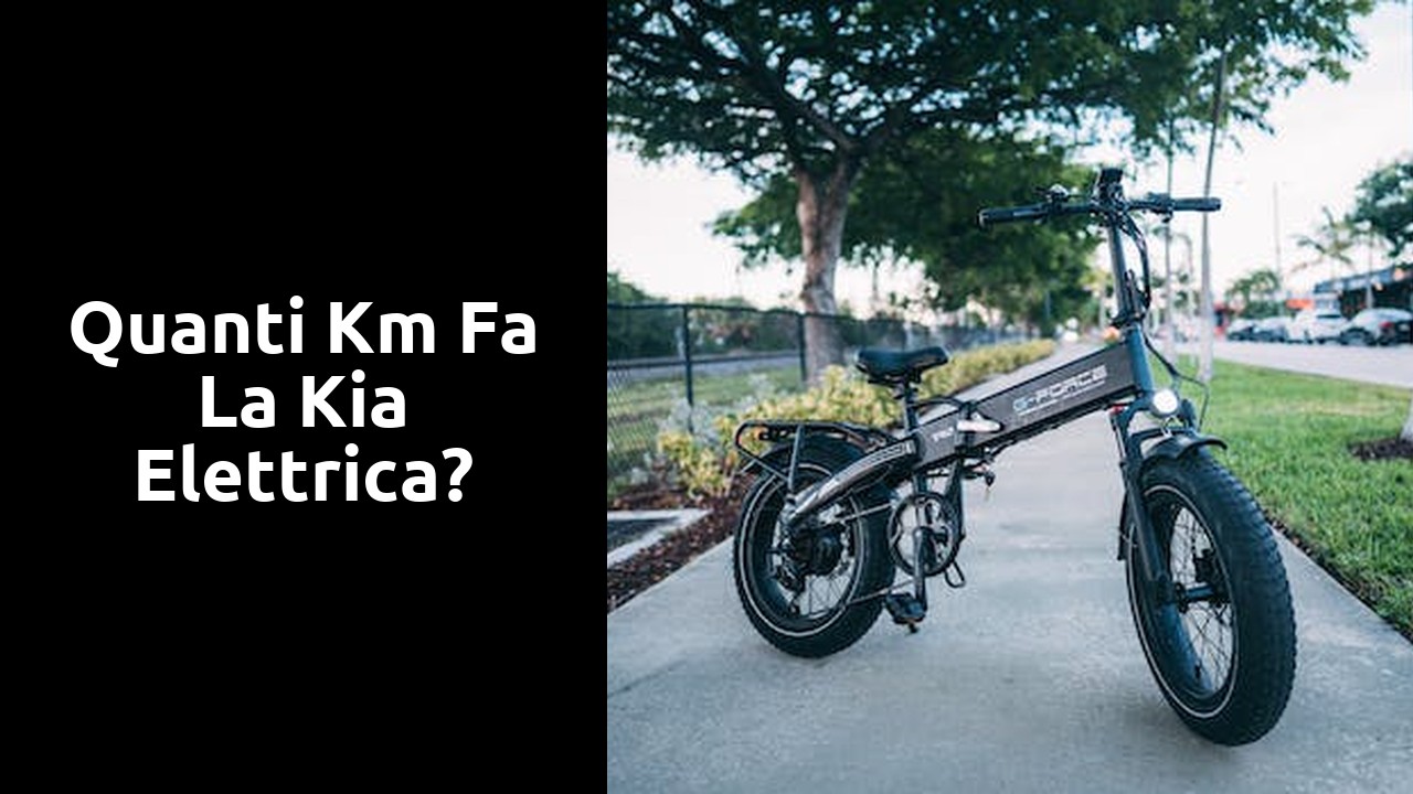 Quanti km fa la Kia elettrica?